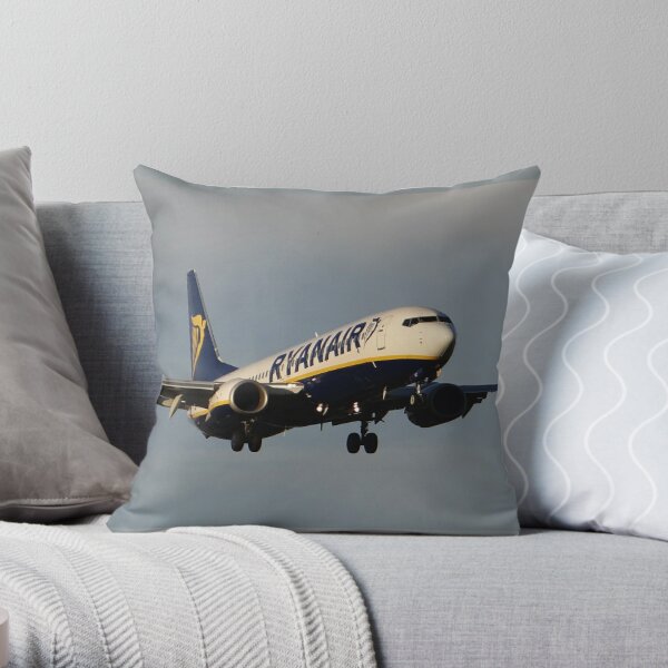 https://ih1.redbubble.net/image.37389607.1400/throwpillow,small,600x-bg,f8f8f8-c,0,120,600,600.u6.jpg