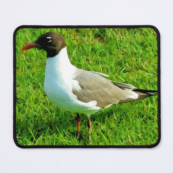 Item preview, A Seagull in the Grass designed and sold by bertsworks300.