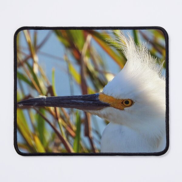 Item preview, Cattle Egret #004 designed and sold by Jeffrey Mask.