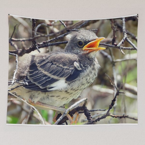 Item preview, Mocking Bird #001 designed and sold by Jeffrey Mask.