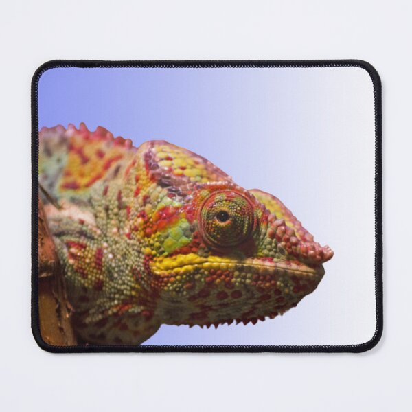 Item preview, The Last Gecko Mouse Pad. designed and sold by MICKSPIKS.