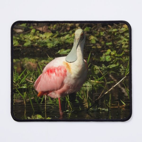 Item preview, Roseate Spoonbill #001 designed and sold by Jeffrey Mask.