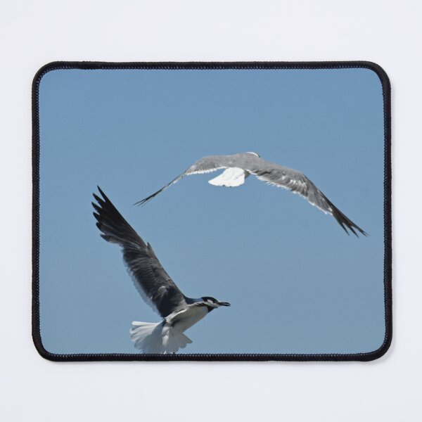 Item preview, Seagulls Together designed and sold by bertsworks300.
