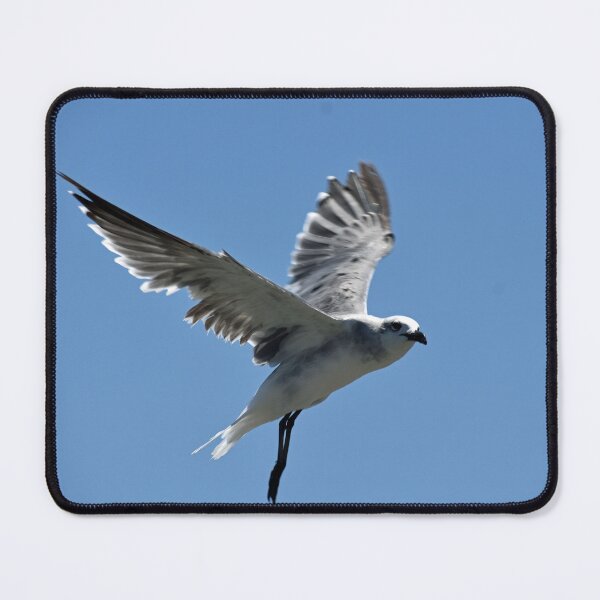 Item preview, I'll Fly Away designed and sold by bertsworks300.