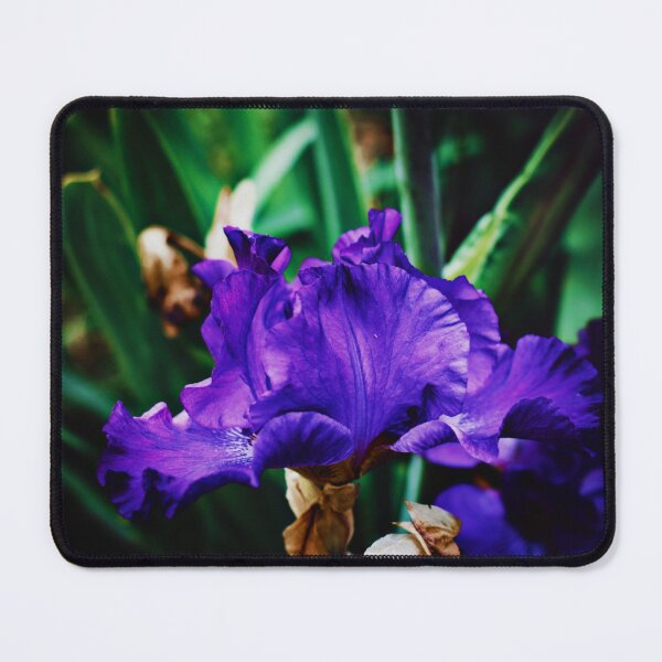 Item preview, Purple Reign designed and sold by Melanie Uadjit.