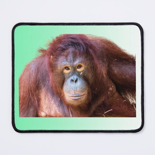 Item preview, The Last Orangutan Mouse Pad. designed and sold by MICKSPIKS.