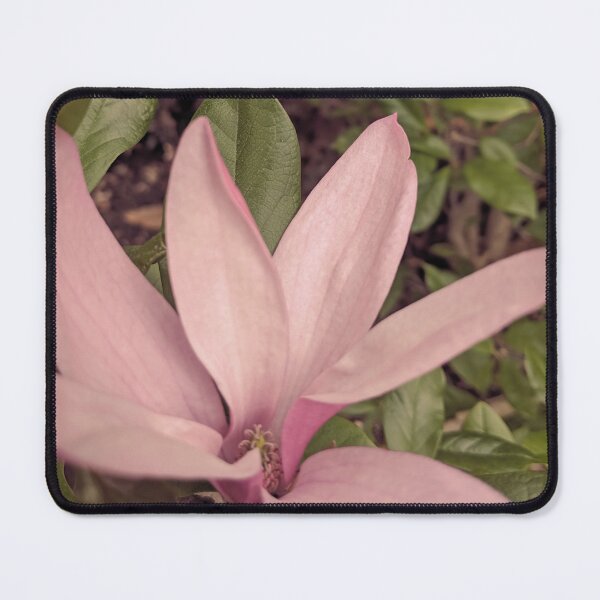 Item preview, Soft and Gentle Flower designed and sold by bertsworks300.