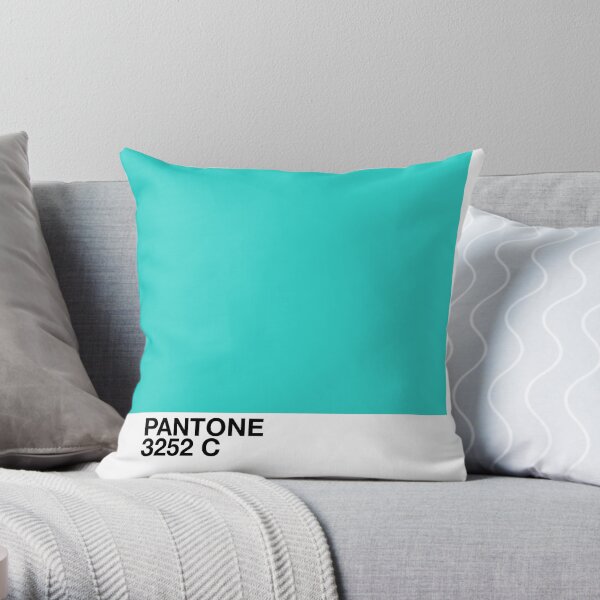 Pantone 3252 C Cojín