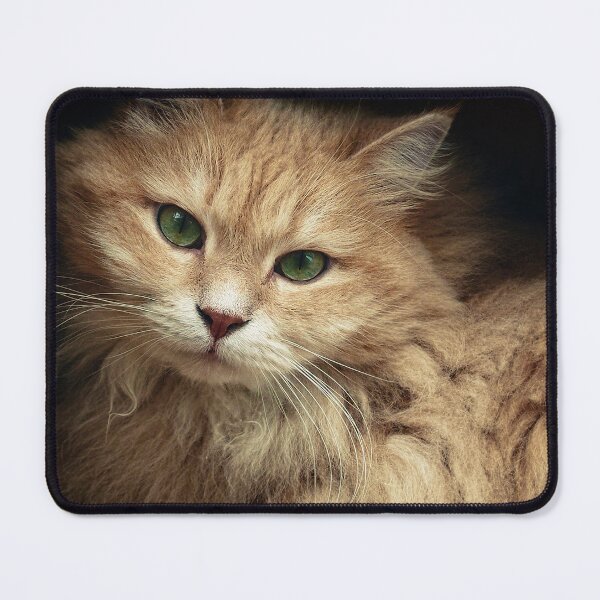 Item preview, Mr. Cesare in the box designed and sold by Pino 'Delfino' Esposito.