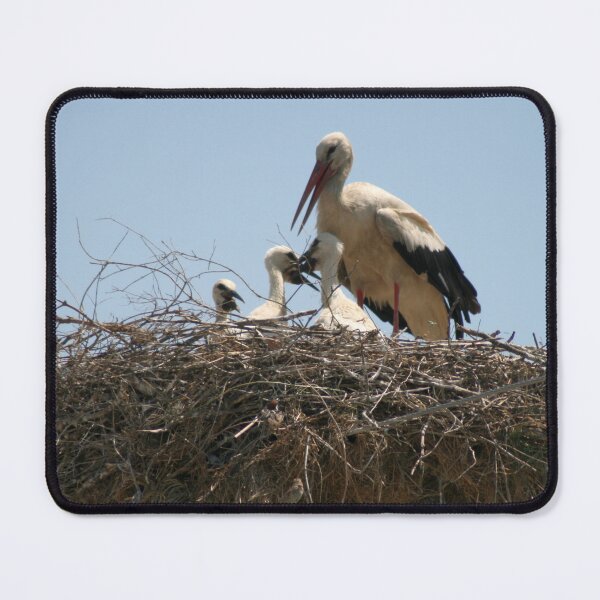 Item preview, Stork and Storklets On The Nest Photograph designed and sold by taiche.