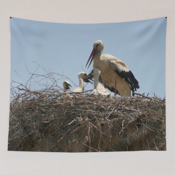 Item preview, Stork and Storklets On The Nest Photograph designed and sold by taiche.