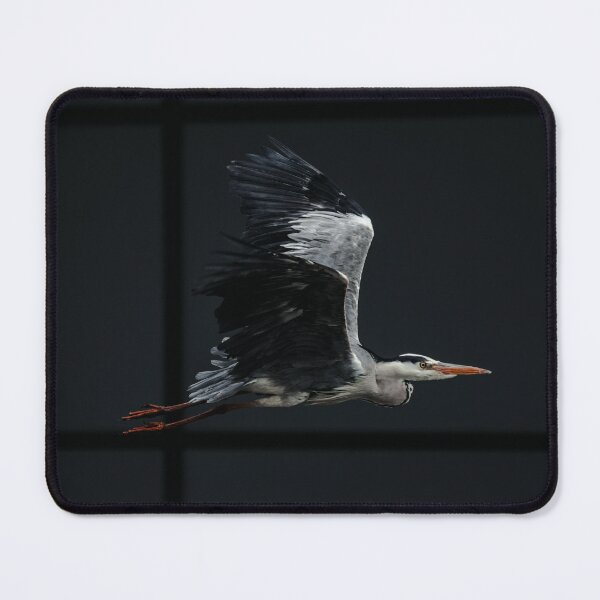 Item preview, Captura de detalle de una garza volando sobre fondo oscuro designed and sold by Chris-Thodd.