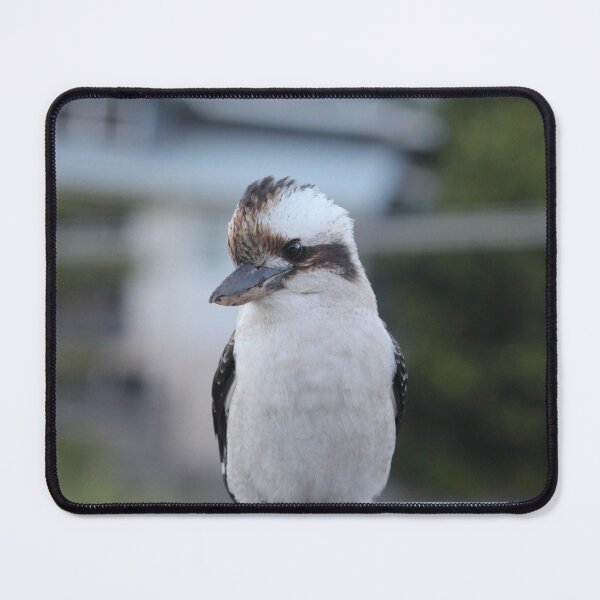 Item preview, Kookaburra Visitor designed and sold by smh2.