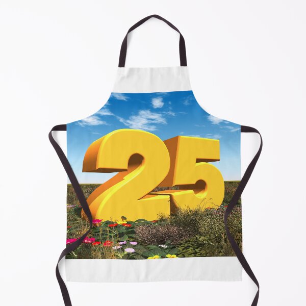 Item preview, year 25 designed and sold by MIRO3D.