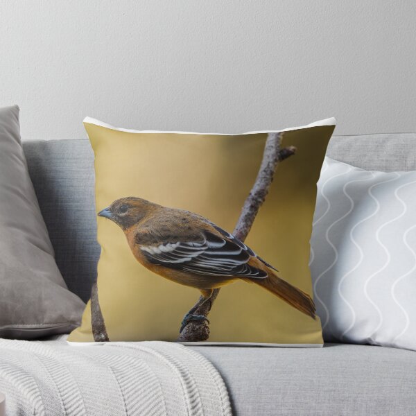 Artikelvorschau, Hinterhof Oriole entworfen und verkauft von AgapeMn.