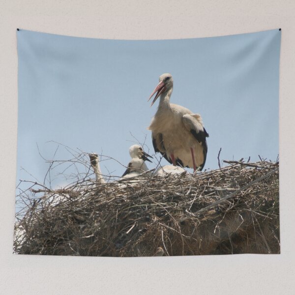 Item preview, She Stork With Fledglings Photograph designed and sold by taiche.