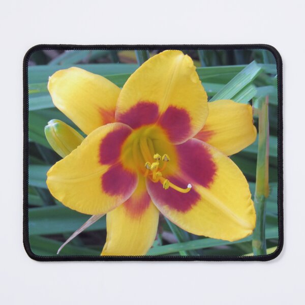 Item preview, Flower Wide Open designed and sold by bertsworks300.