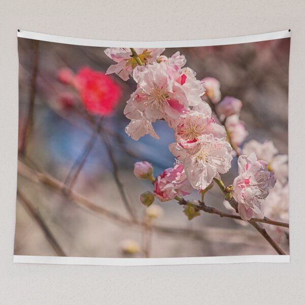 Item preview, Cherry blossom designed and sold by Photopat.