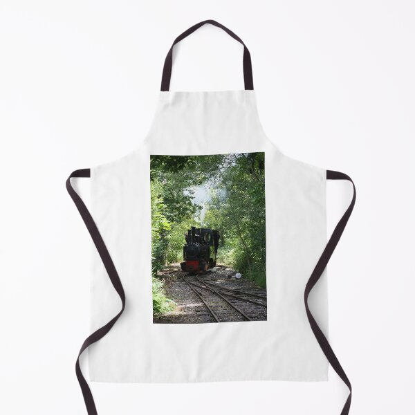Item preview, Steam Engine "Utrillas" designed and sold by LPYLPhotography.