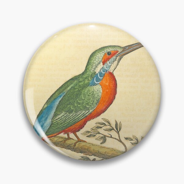 Item preview, Albin's Kingfisher designed and sold by Lloyd Library & Museum.
