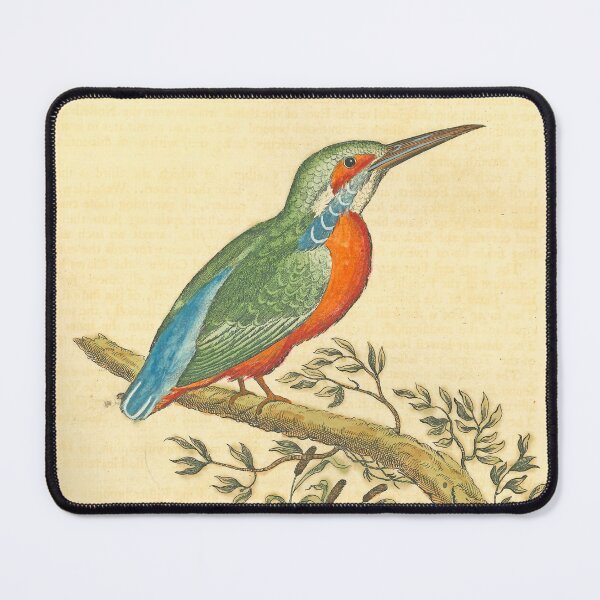 Item preview, Albin's Kingfisher designed and sold by Lloyd Library & Museum.