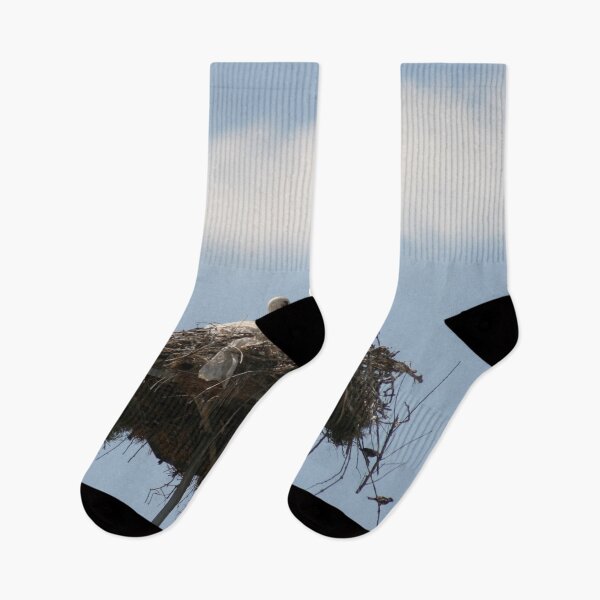 Item preview, Baby Storks Photograph designed and sold by taiche.