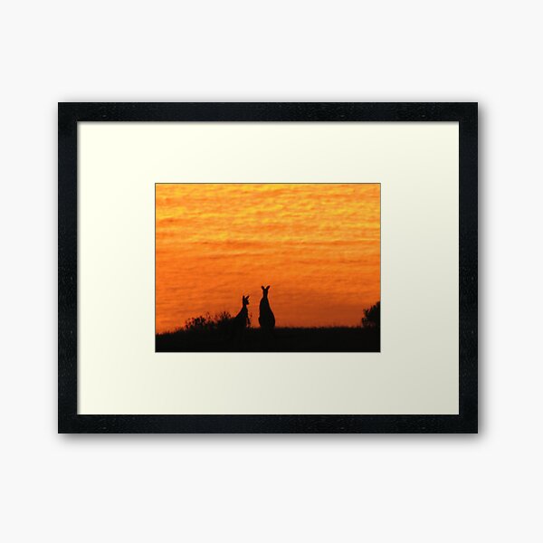 Roo'd Awakening 2 Framed Art Print