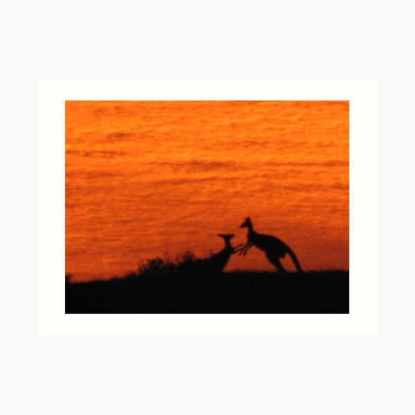Roo'd Awakening 1 Art Print