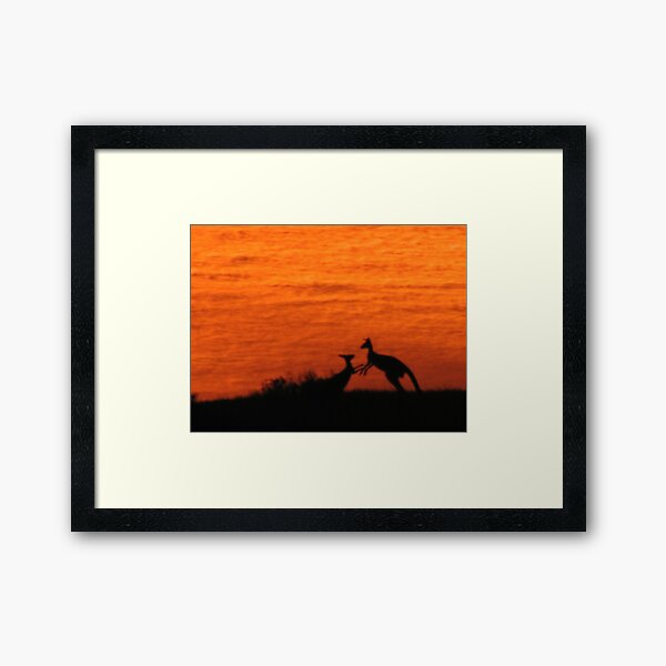 Roo'd Awakening 1 Framed Art Print