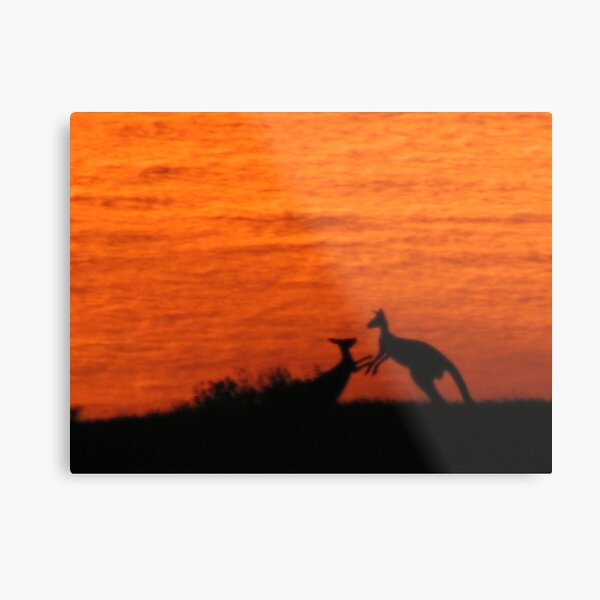 Roo'd Awakening 1 Metal Print
