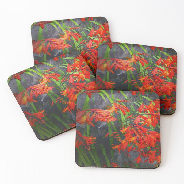 Item preview, Montbretia 3 designed and sold by WesternExposure.