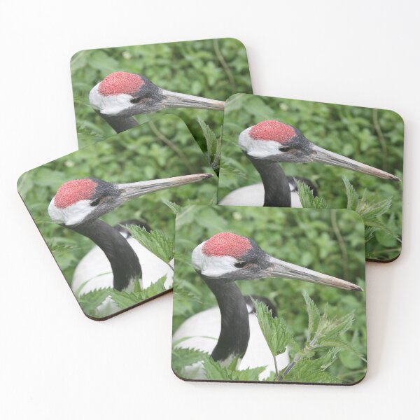 Artikelvorschau, Japanischer Rotkronenkranich (Grus japonensis) entworfen und verkauft von LPYLPhotography.