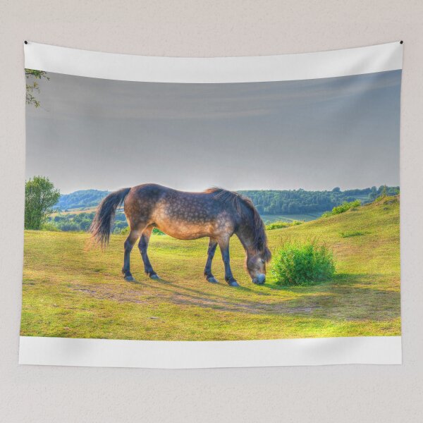 Item preview, Exmoor Pony Grazing The Quantock Hills HDR in Uk Countryside designed and sold by acceleratorhams.