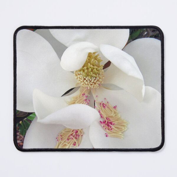 Item preview, Unfolding Magnolia designed and sold by bertsworks300.