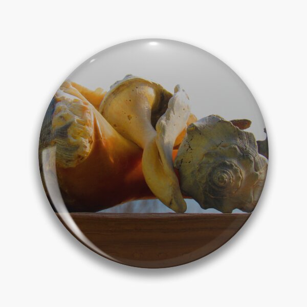 Item preview, Shells of the Sea designed and sold by bertsworks300.