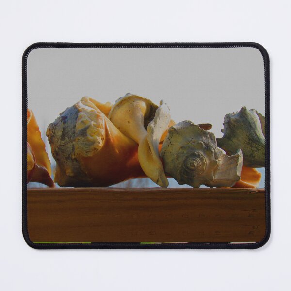 Item preview, Shells of the Sea designed and sold by bertsworks300.