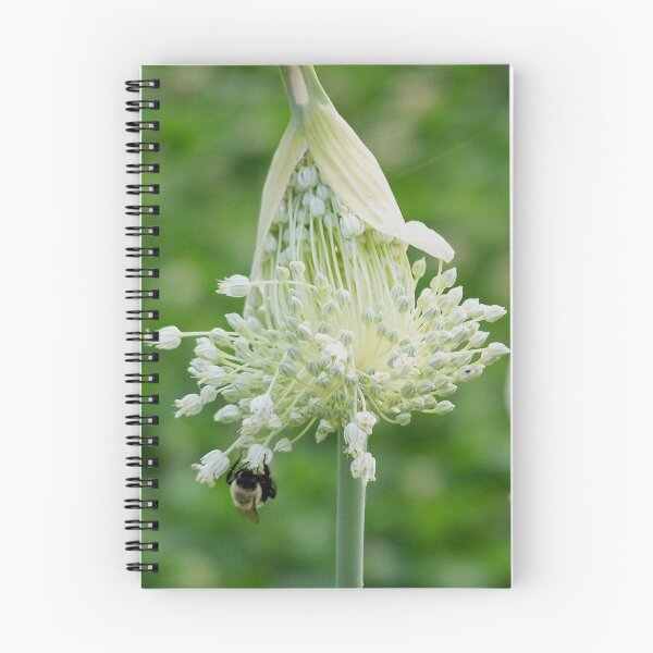 Item preview, Leek Flowers with B designed and sold by NatureWaltzArts.