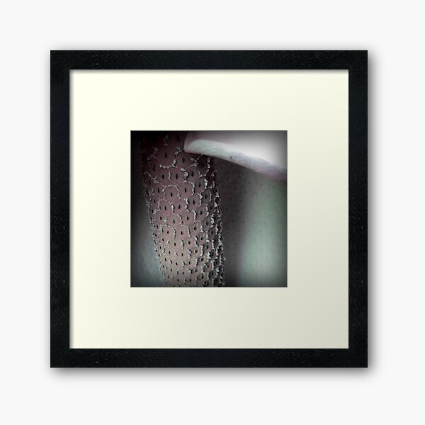 Soft Monstera Framed Art Print