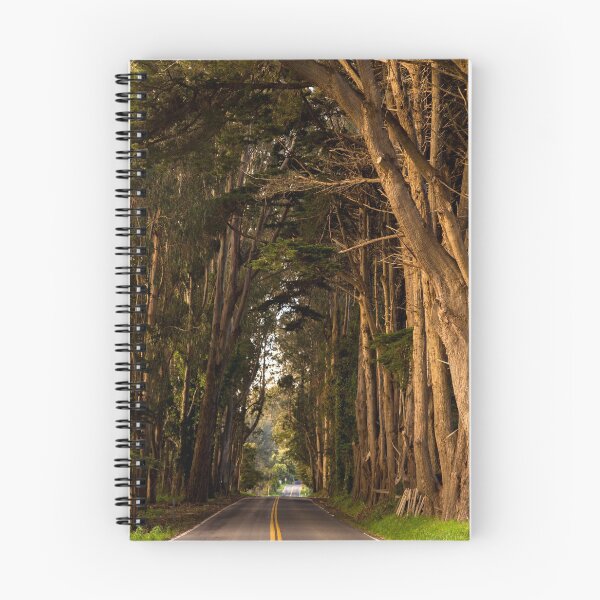 Item preview, Highway 1 Canopy designed and sold by Denice Breaux.