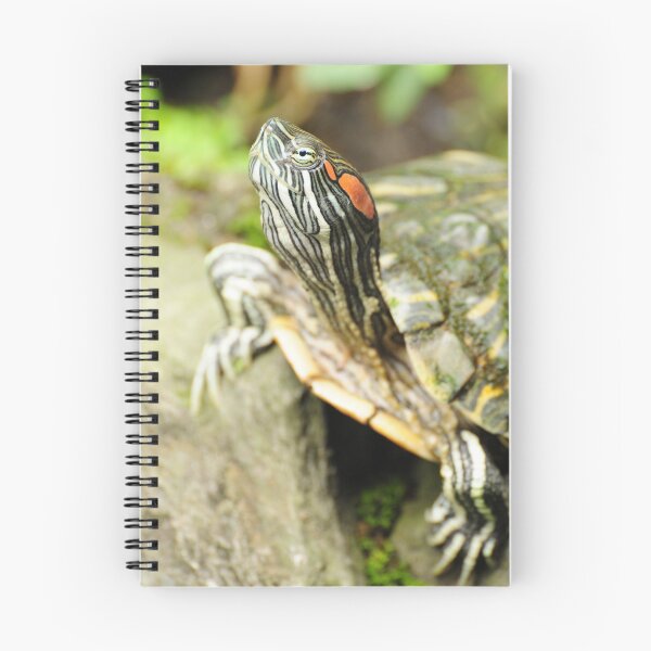 Item preview, Red Ear Slider Turtle designed and sold by JennaKnight.