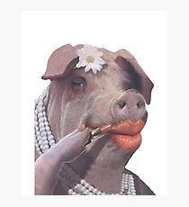 Lipstick on a Pig Photographic Print