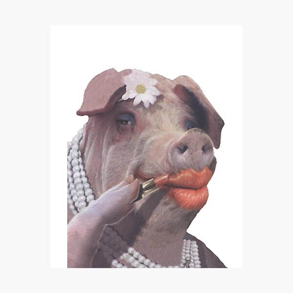 Lipstick on a Pig" Photographic Print for Sale by Unisson | Redbubble