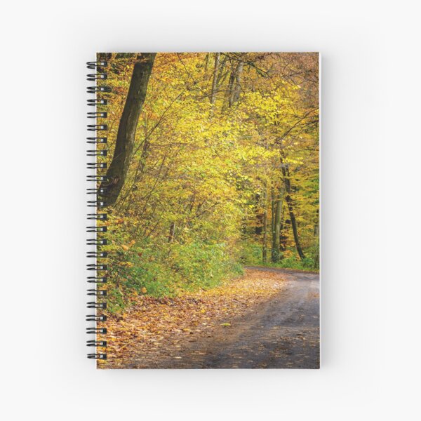 forest path in orange foliage Spiral Notebook