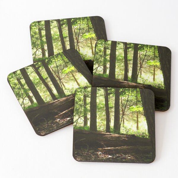 Item preview, Enter The Big Woods designed and sold by Lovemountain.