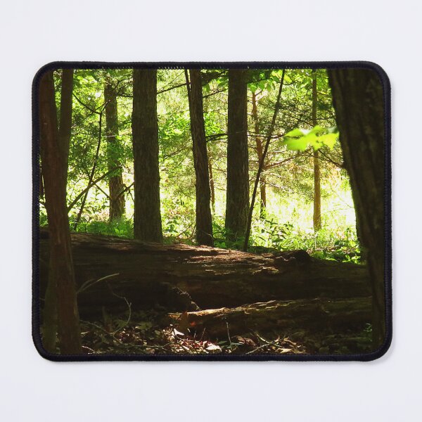 Item preview, Enter The Big Woods designed and sold by Lovemountain.