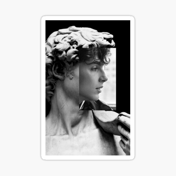 Blach And White Statut Of David Saint Timothee Chalamet Sticker