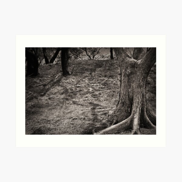 Up Spook Hill.... Art Print