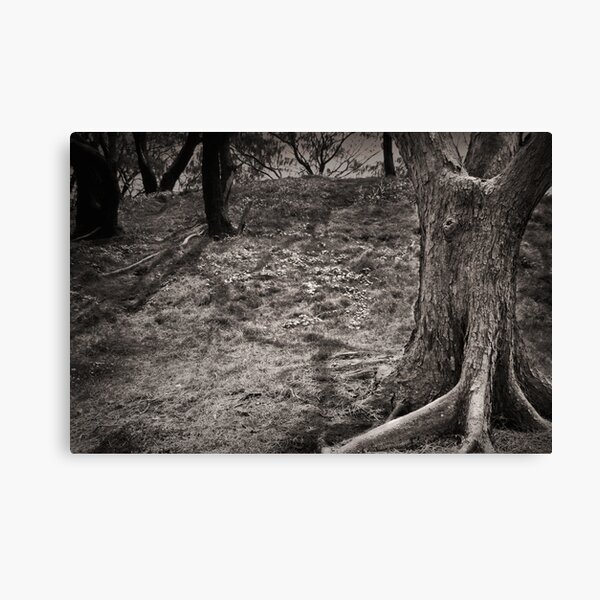 Up Spook Hill.... Canvas Print