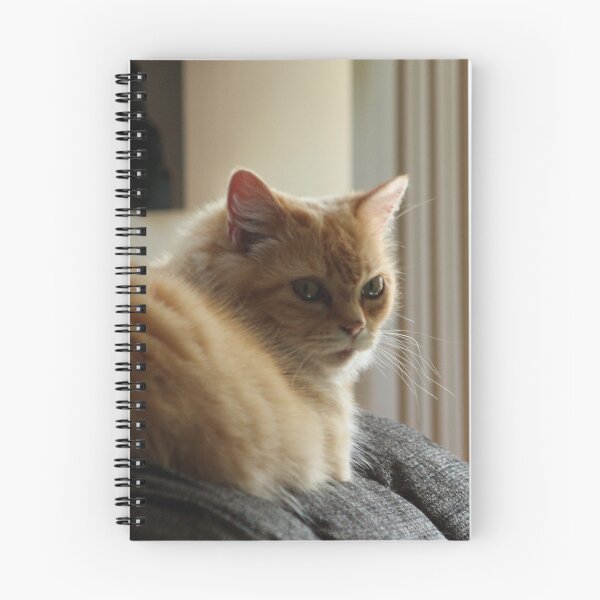 Item preview, Laying around designed and sold by SariePhotograph.