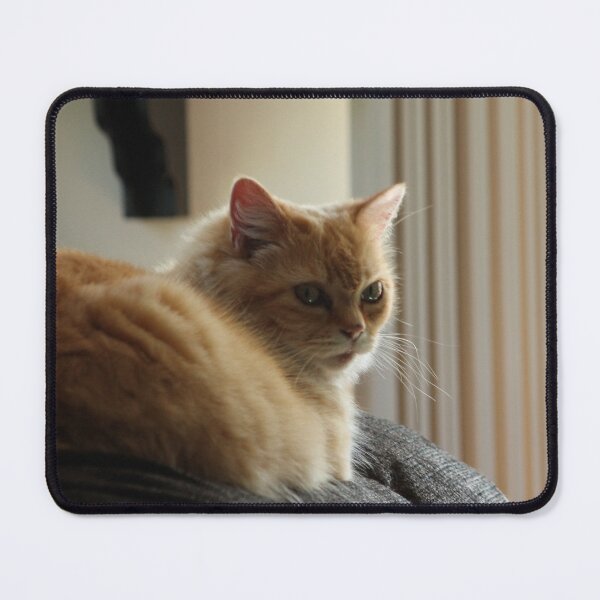 Item preview, Laying around designed and sold by SariePhotograph.